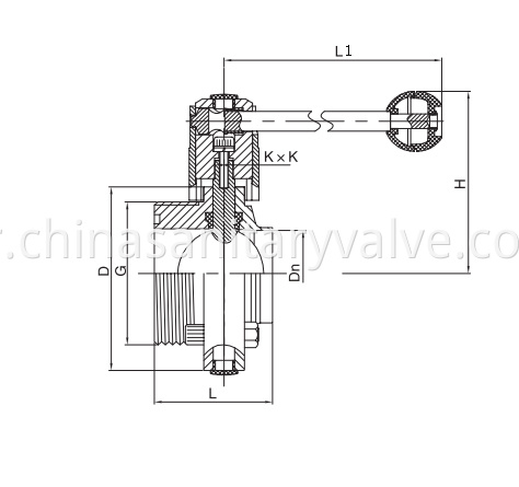 hygienic butterfly valve male and weld end DS